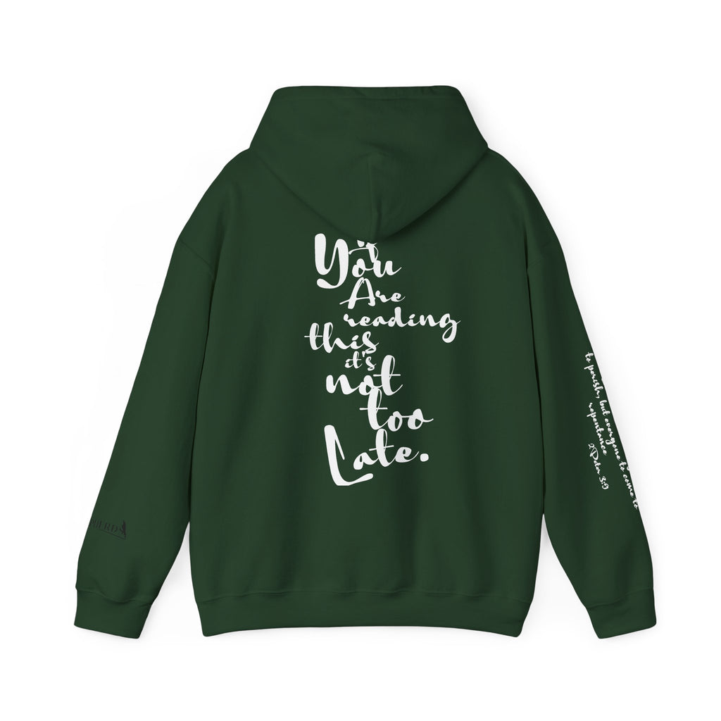 Jesus Saves Hoodie — Christian Inspirational  (“You are reading this, it’s not too late”)