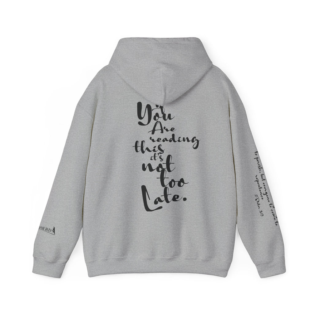 Jesus Saves Hoodie — Christian Inspirational  (“You are reading this, it’s not too late”)