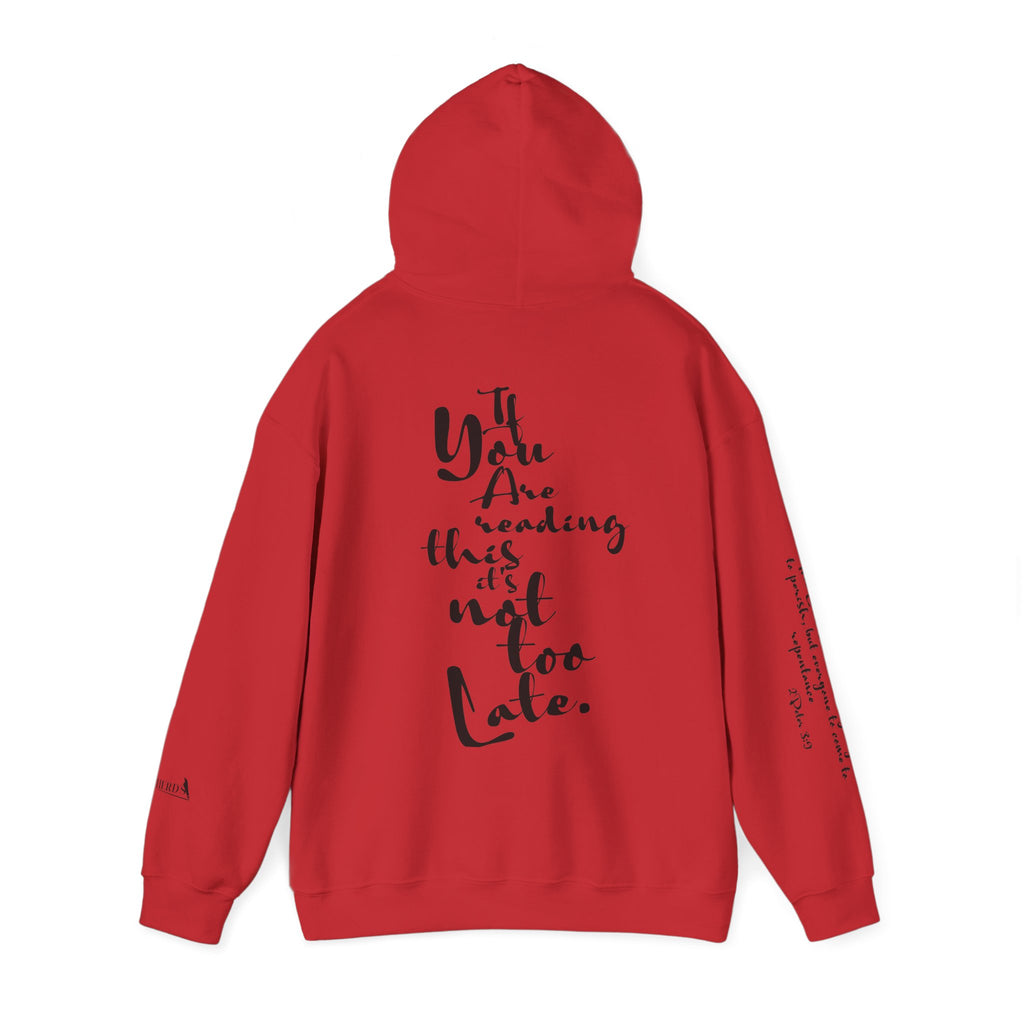 Jesus Saves Hoodie — Christian Inspirational  (“You are reading this, it’s not too late”)
