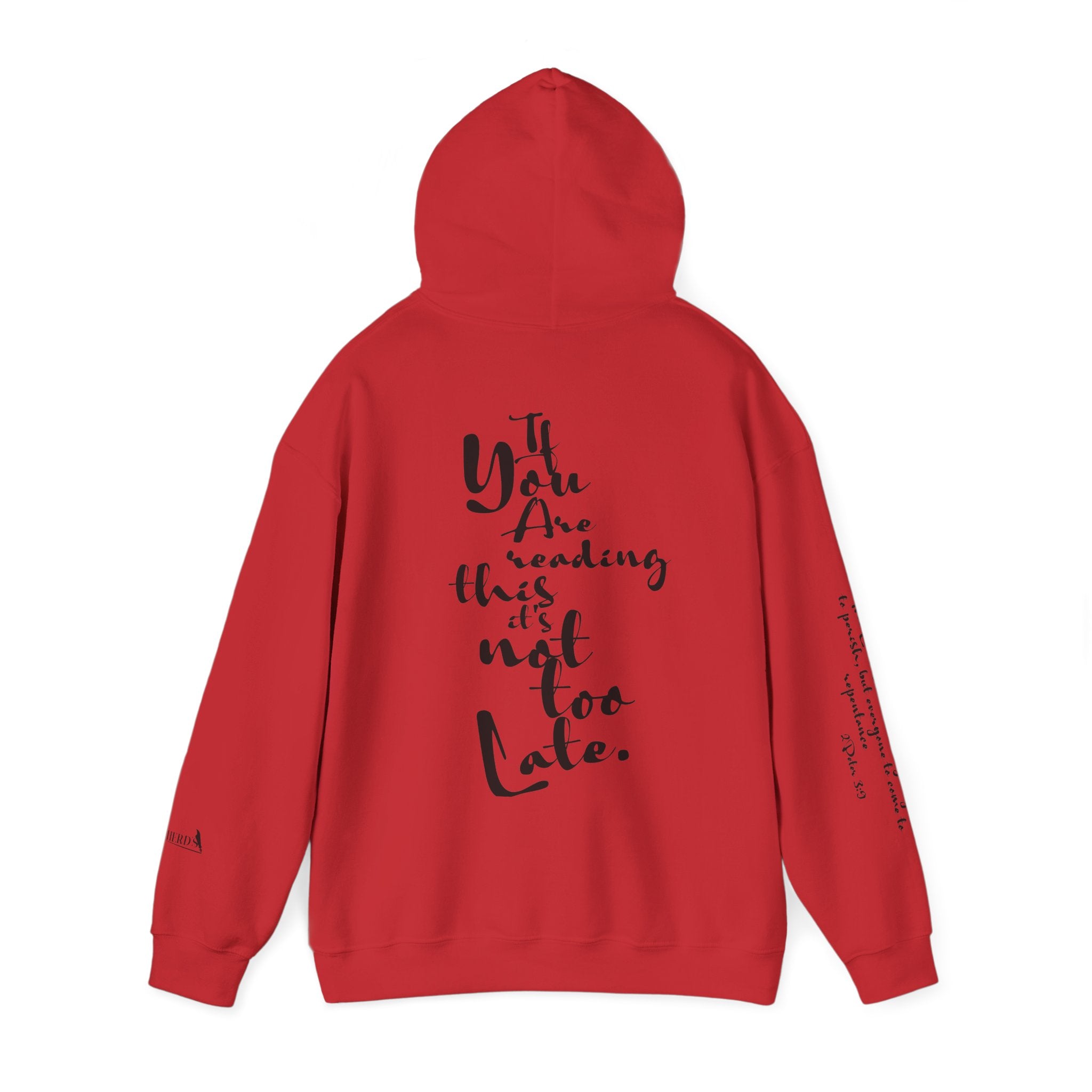 Jesus Saves Hoodie — Christian Inspirational  (“You are reading this, it’s not too late”)