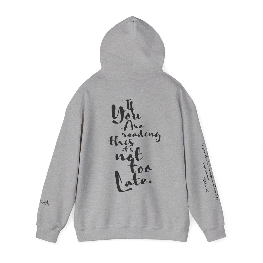 Jesus Saves Hoodie — Christian Inspirational  (“You are reading this, it’s not too late”)