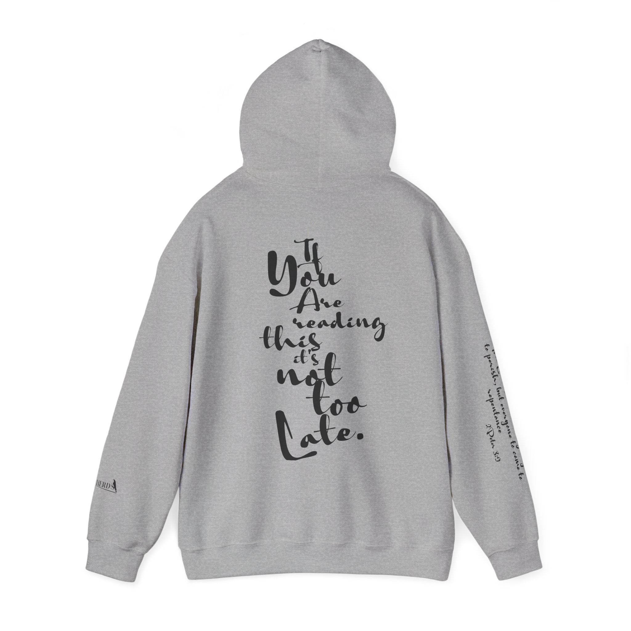 Jesus Saves Hoodie — Christian Inspirational  (“You are reading this, it’s not too late”)