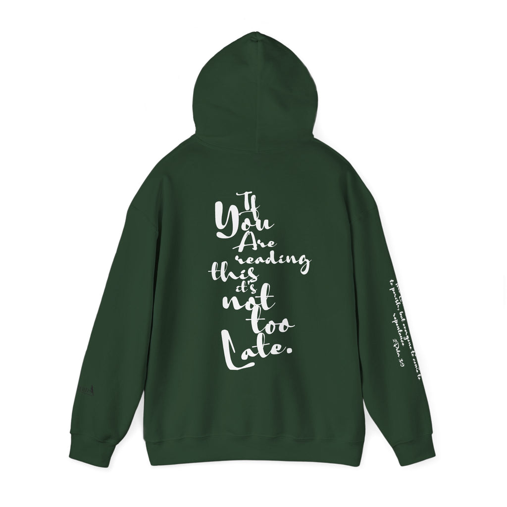 Jesus Saves Hoodie — Christian Inspirational  (“You are reading this, it’s not too late”)