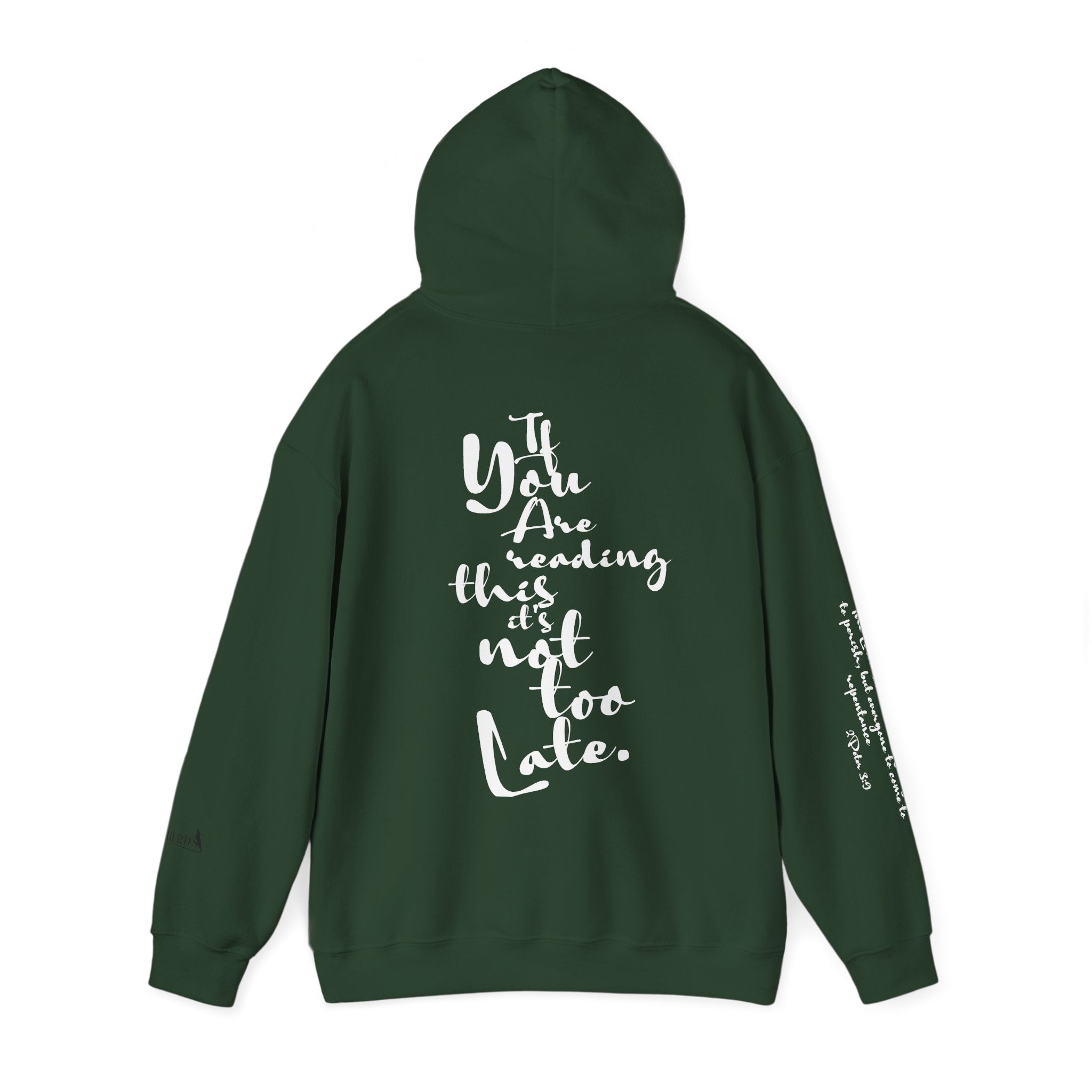 Jesus Saves Hoodie — Christian Inspirational  (“You are reading this, it’s not too late”)