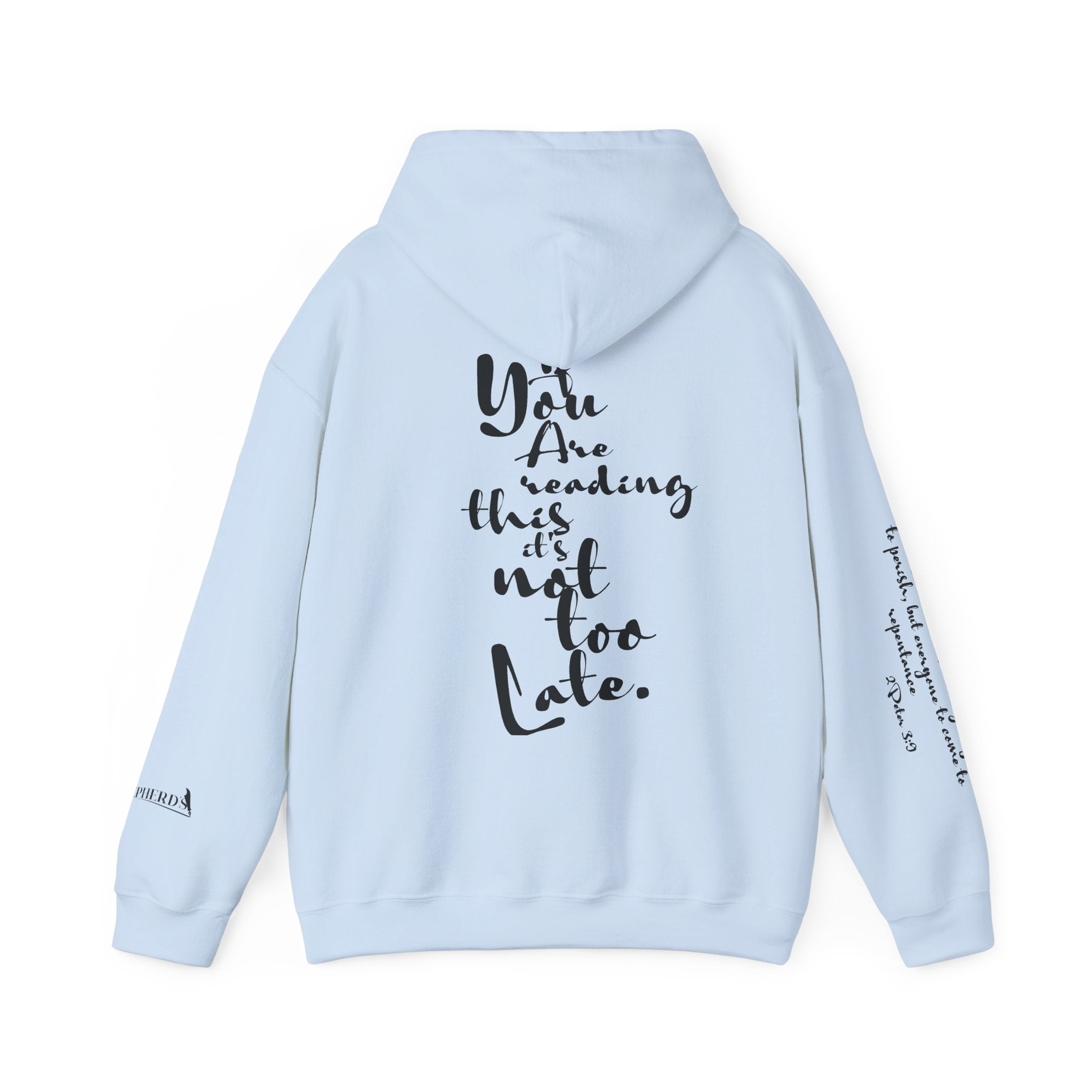 Jesus Saves Hoodie — Christian Inspirational  (“You are reading this, it’s not too late”)