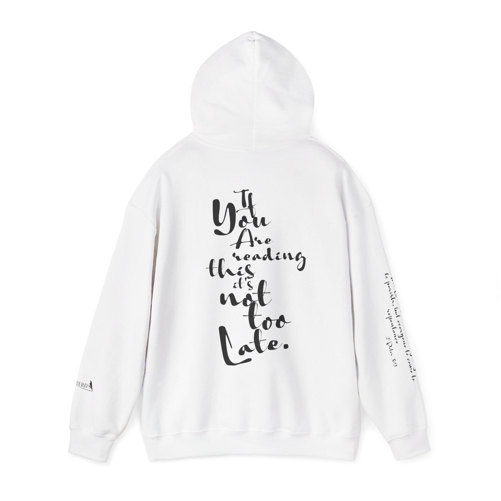 Jesus Saves Hoodie — Christian Inspirational  (“You are reading this, it’s not too late”)
