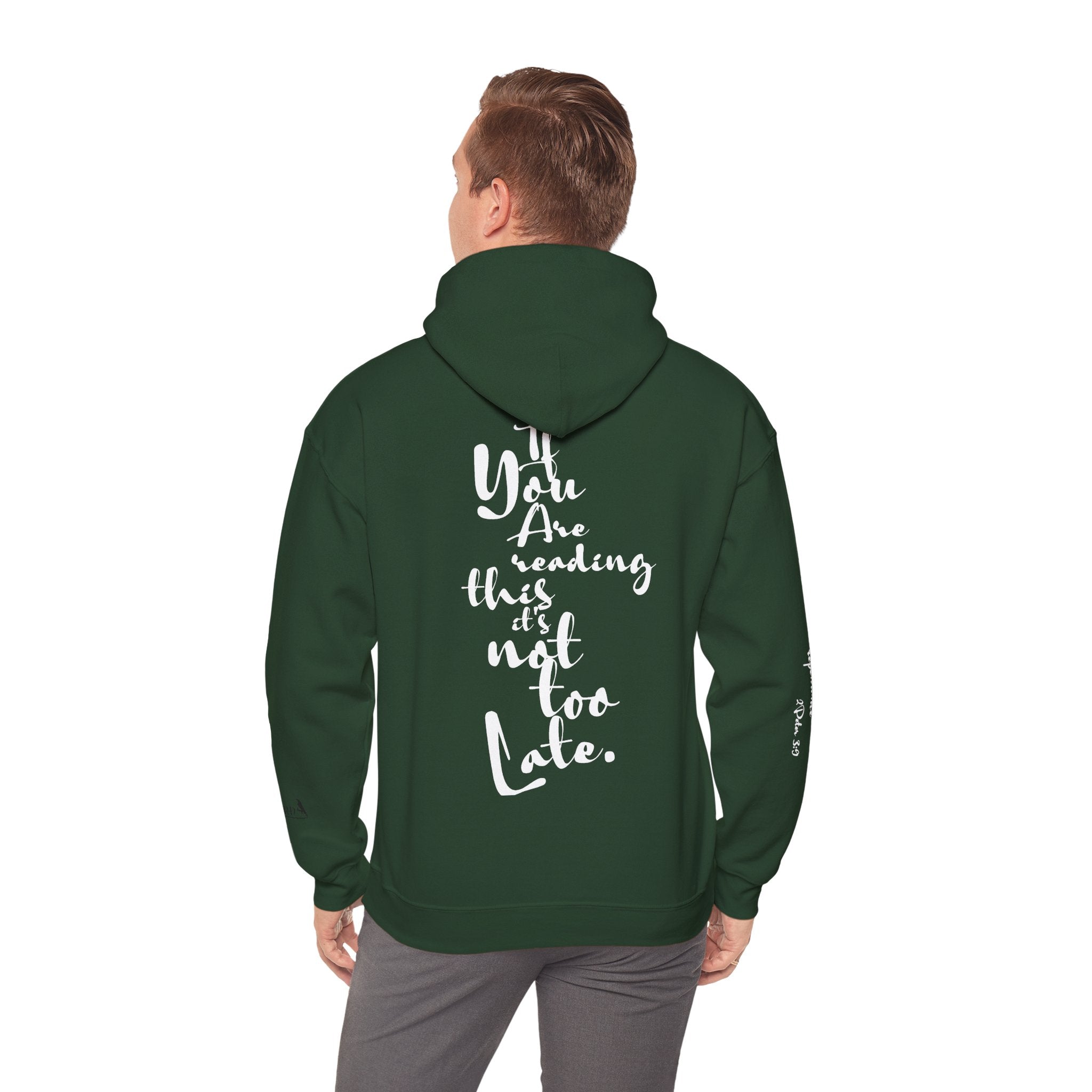 Jesus Saves Hoodie — Christian Inspirational  (“You are reading this, it’s not too late”)