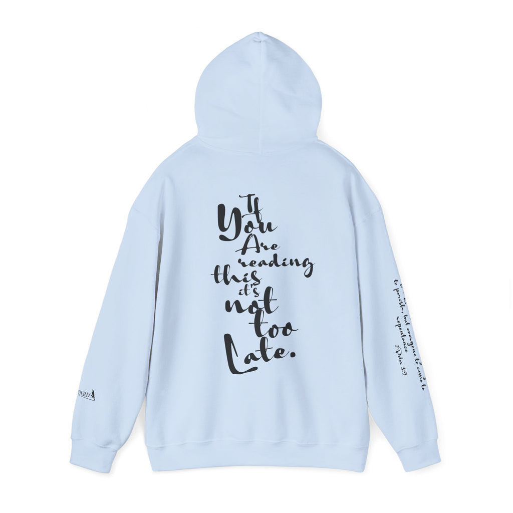 Jesus Saves Hoodie — Christian Inspirational  (“You are reading this, it’s not too late”)