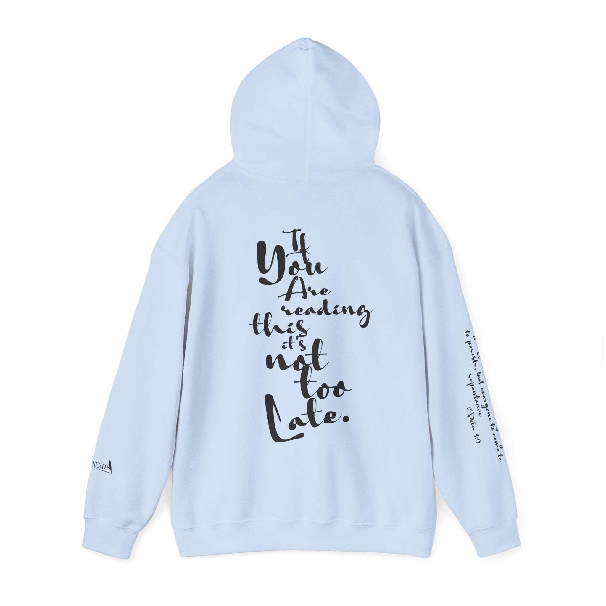 Jesus Saves Hoodie — Christian Inspirational  (“You are reading this, it’s not too late”)