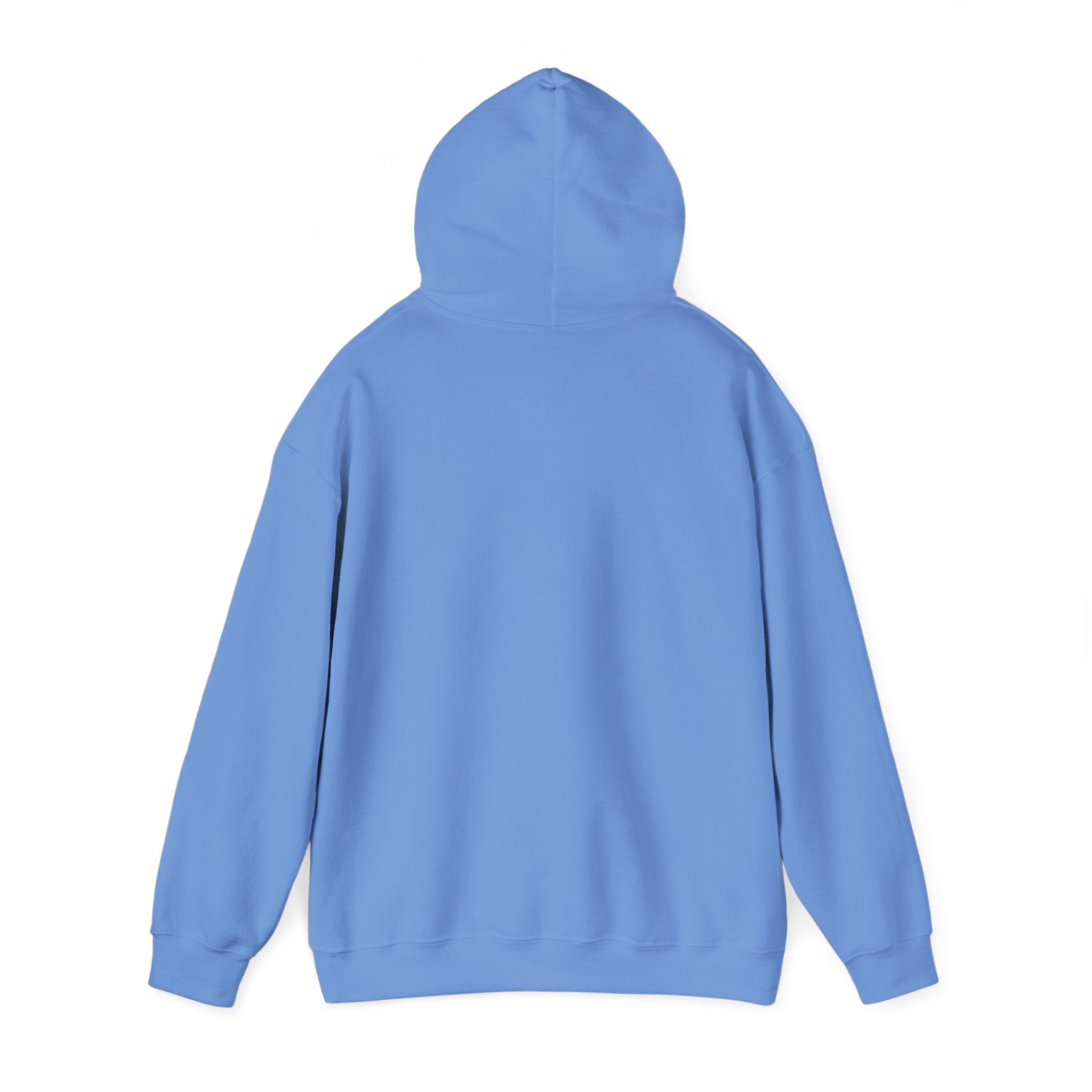 "I Will Turn My Mountains Into Roads" Hoodie - Adventure Sweatshirt