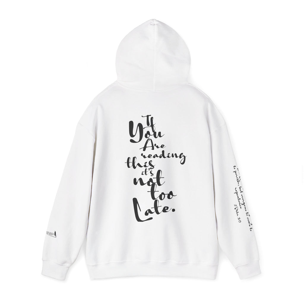 Jesus Saves Hoodie — Christian Inspirational  (“You are reading this, it’s not too late”)