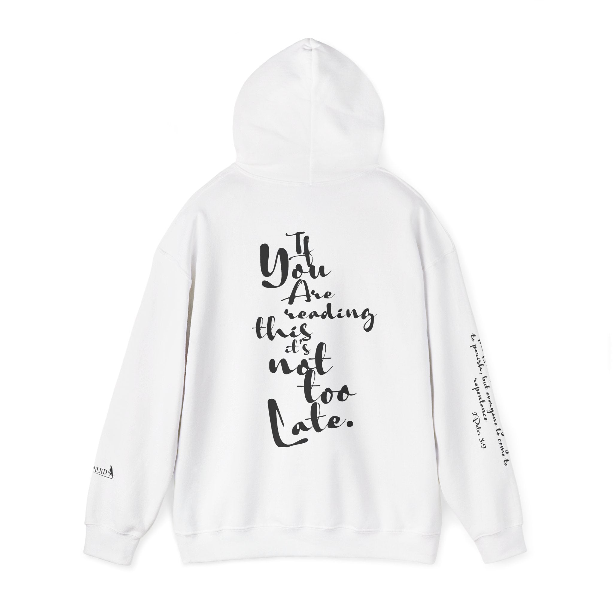 Jesus Saves Hoodie — Christian Inspirational  (“You are reading this, it’s not too late”)