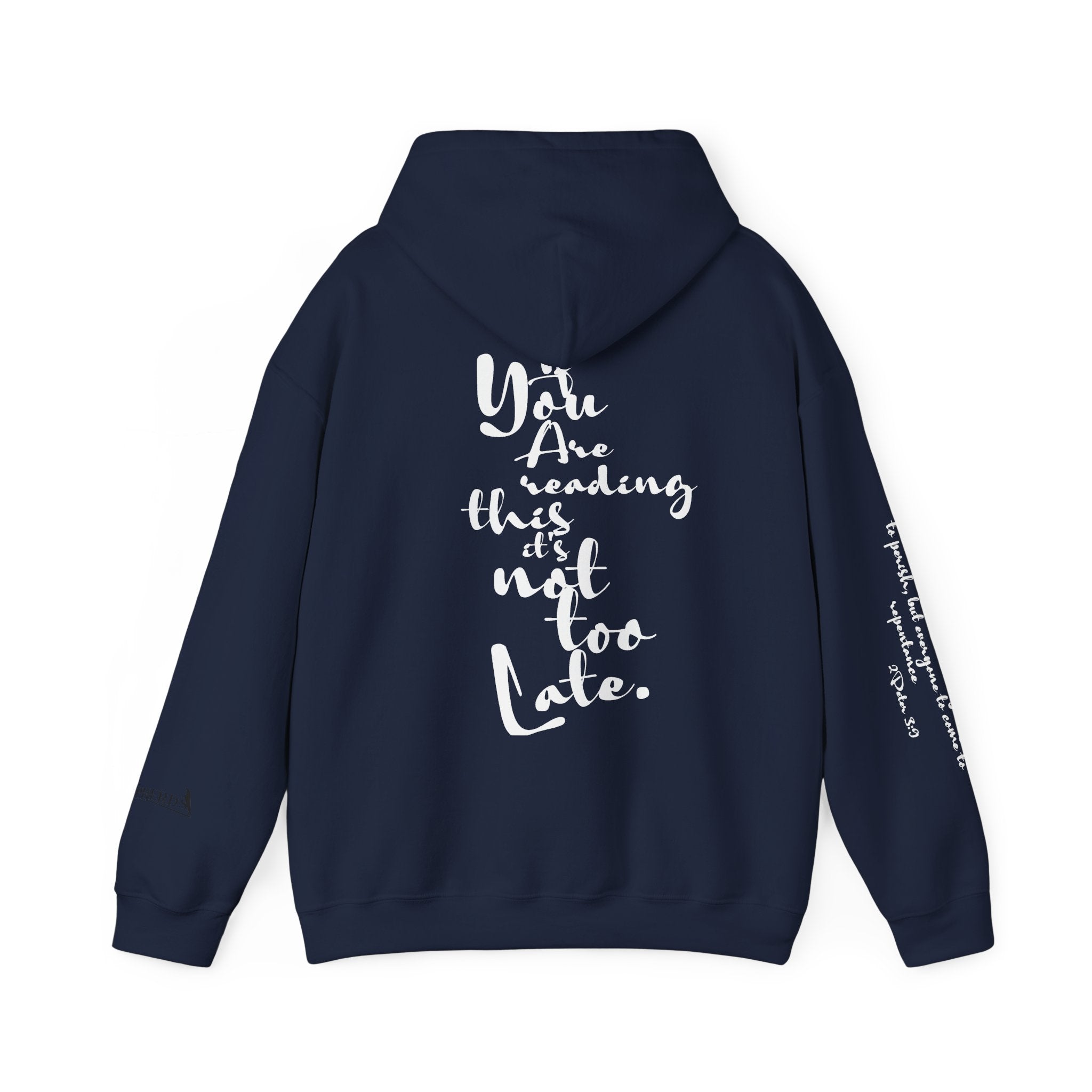 Jesus Saves Hoodie — Christian Inspirational  (“You are reading this, it’s not too late”)