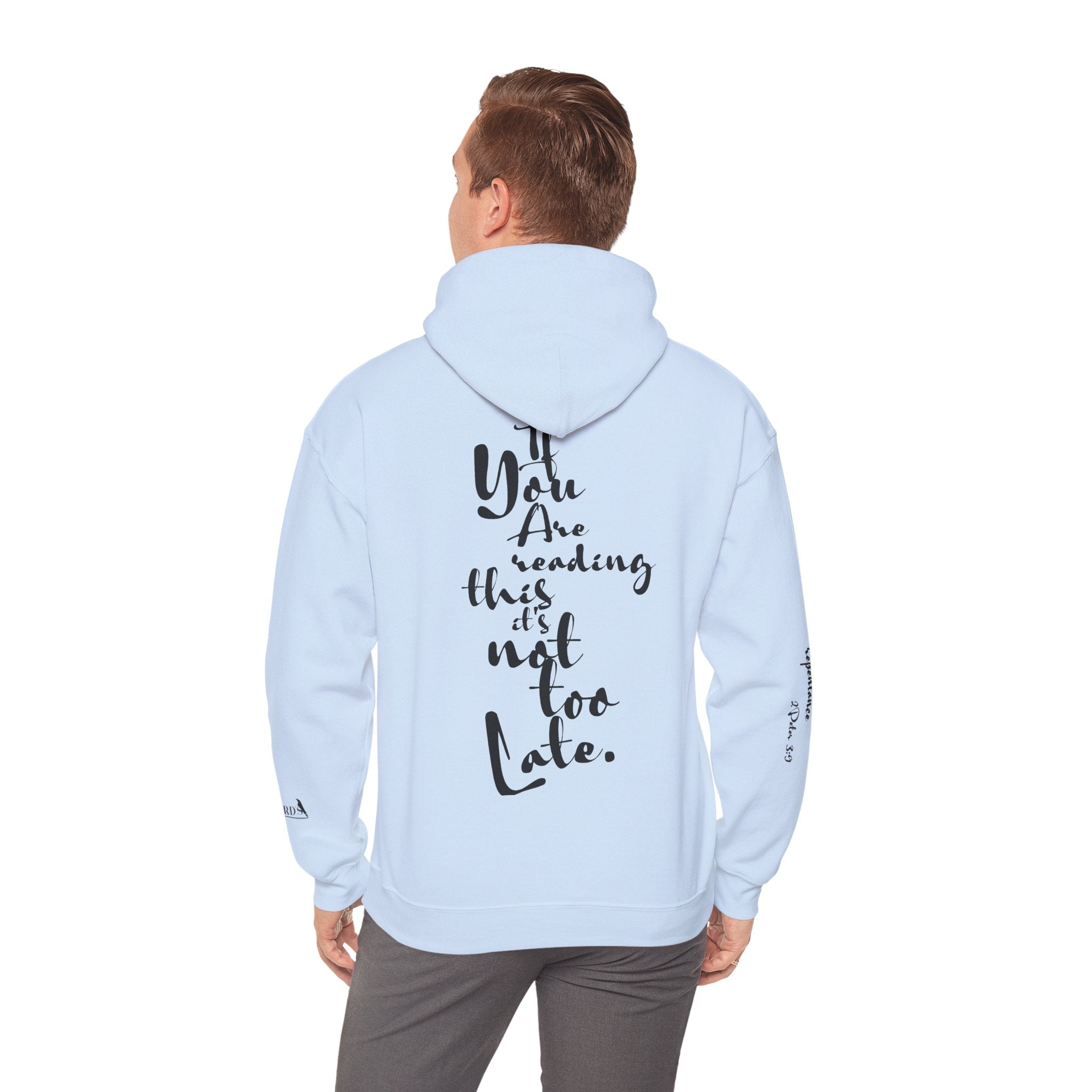 Jesus Saves Hoodie — Christian Inspirational  (“You are reading this, it’s not too late”)